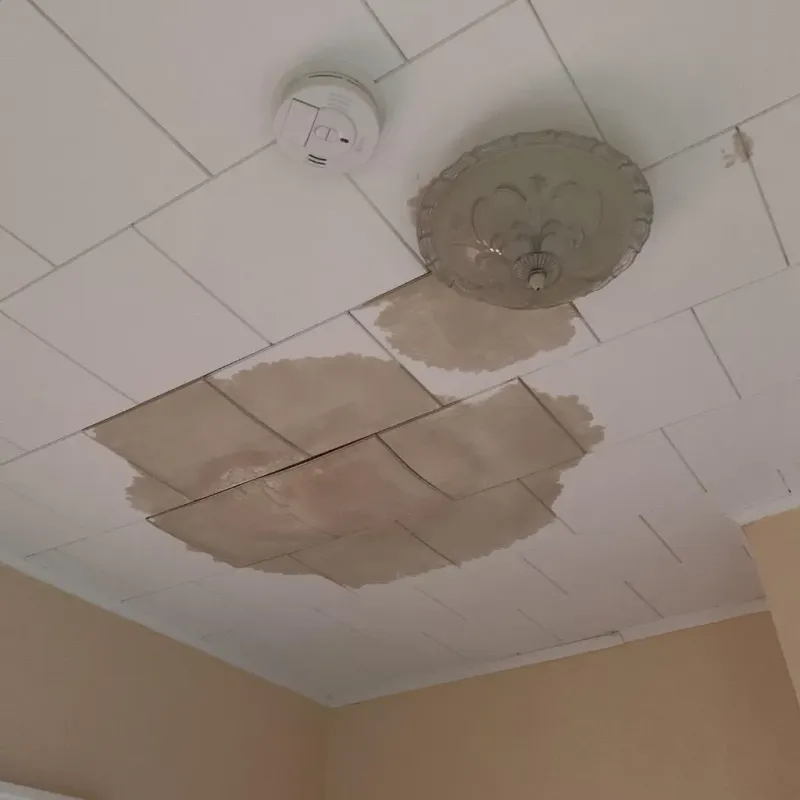Ceiling Water Damage Repair in Wind Lake, WI