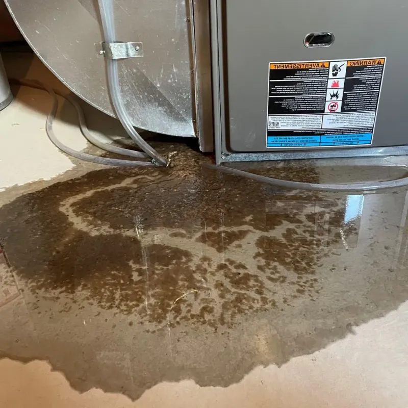 Pipe Burst and Leak Restoration in Wind Lake, WI