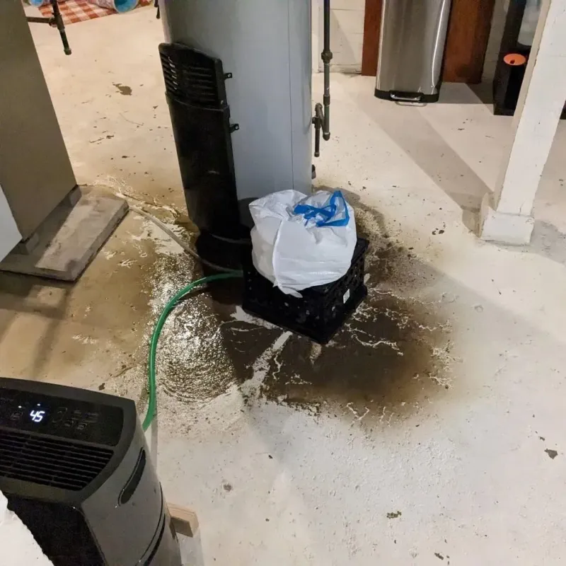 Sewage Backup Cleanup Service in Wind Lake, WI